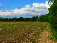1 The Path-17