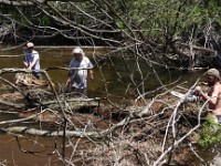 2 Stream Rehab-05