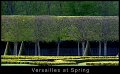 021-12-04-19-021-Versailles